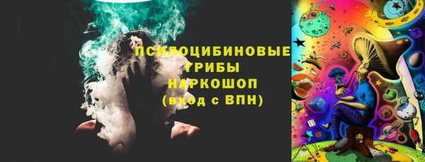 ПСИЛОЦИБИНОВЫЕ ГРИБЫ Алексеевка