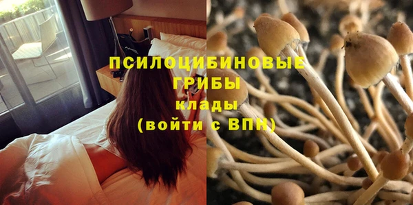 ECSTASY Алзамай