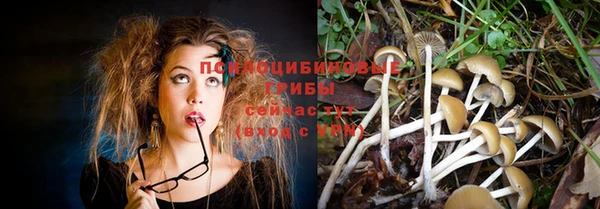 ПСИЛОЦИБИНОВЫЕ ГРИБЫ Алексеевка