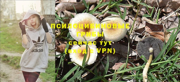 ECSTASY Алзамай