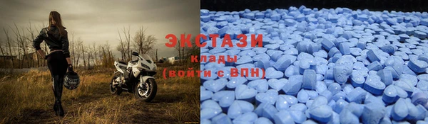 ECSTASY Алзамай
