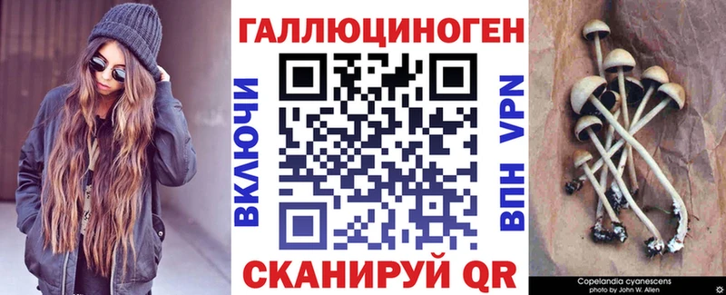 площадка как зайти  Кондопога  Галлюциногенные грибы MAGIC MUSHROOMS 